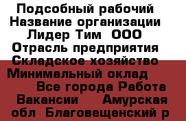 Подсобный рабочий › Название организации ­ Лидер Тим, ООО › Отрасль предприятия ­ Складское хозяйство › Минимальный оклад ­ 15 000 - Все города Работа » Вакансии   . Амурская обл.,Благовещенский р-н